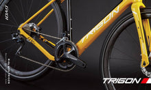 Load image into Gallery viewer, TRIGON GV01 Gravel Frame