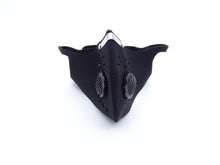 Load image into Gallery viewer, Heavy Duty Dust Protection Face Mask - Fits over nose and mouth