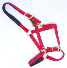 Load image into Gallery viewer, Nylon Breakaway Halter with Padded Liner - COB Size
