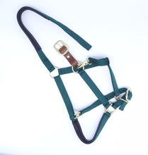Load image into Gallery viewer, Nylon Breakaway Halter with Padded Liner - FULL Size