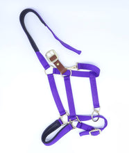 Load image into Gallery viewer, Nylon Breakaway Halter with Padded Liner - COB Size